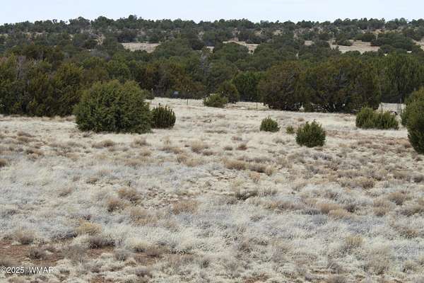 1.14 Acres of Mixed-Use Land for Sale in Concho, Arizona