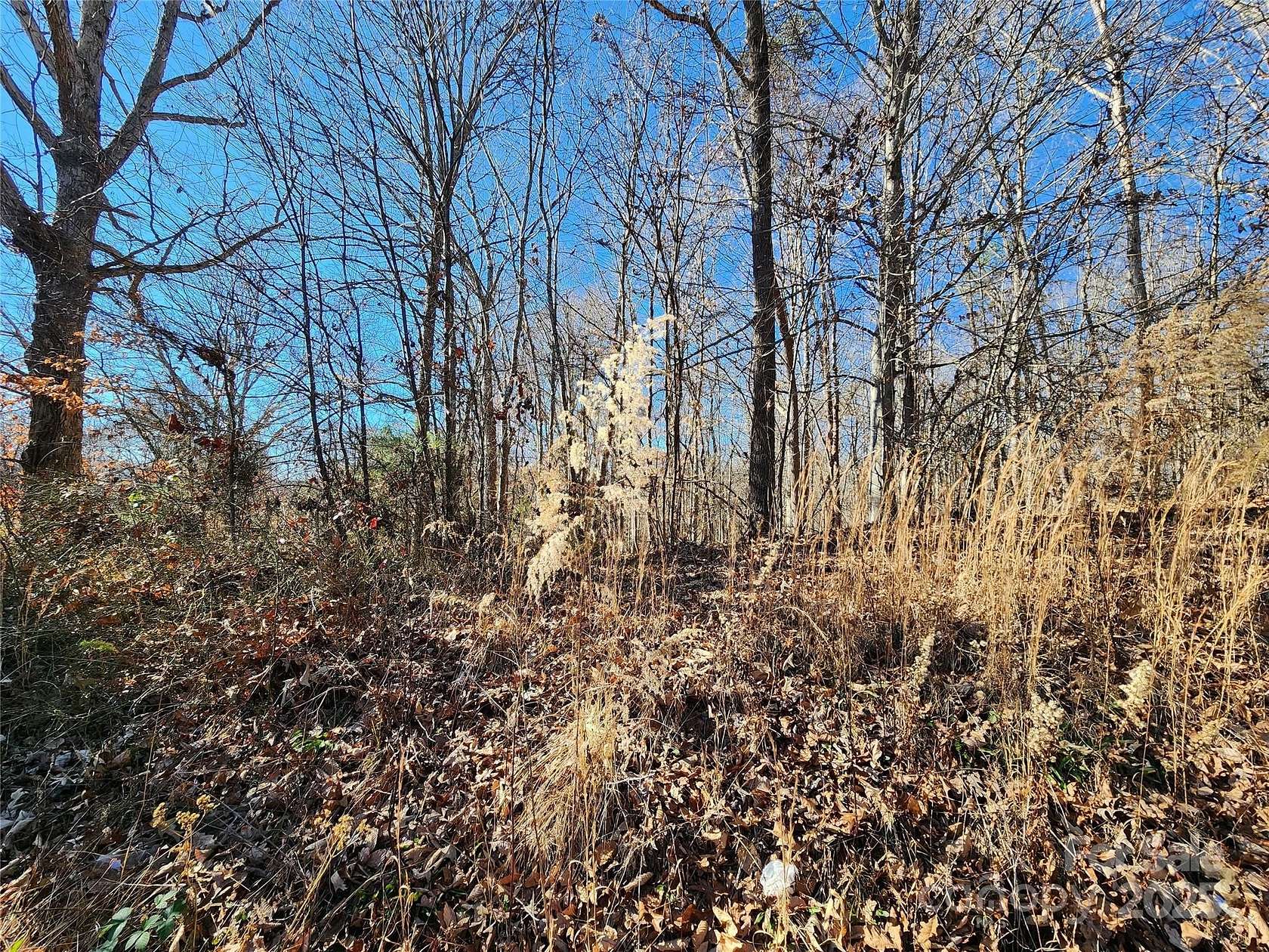 2.7 Acres of Residential Land for Sale in Ronda, North Carolina