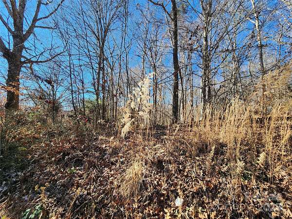 2.7 Acres of Residential Land for Sale in Ronda, North Carolina