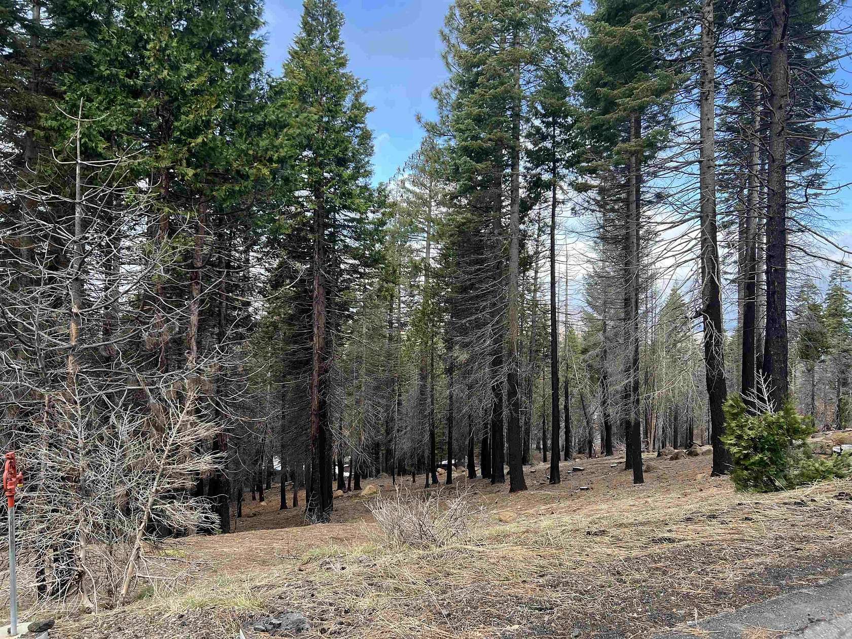 0.52 Acres of Residential Land for Sale in Chester, California