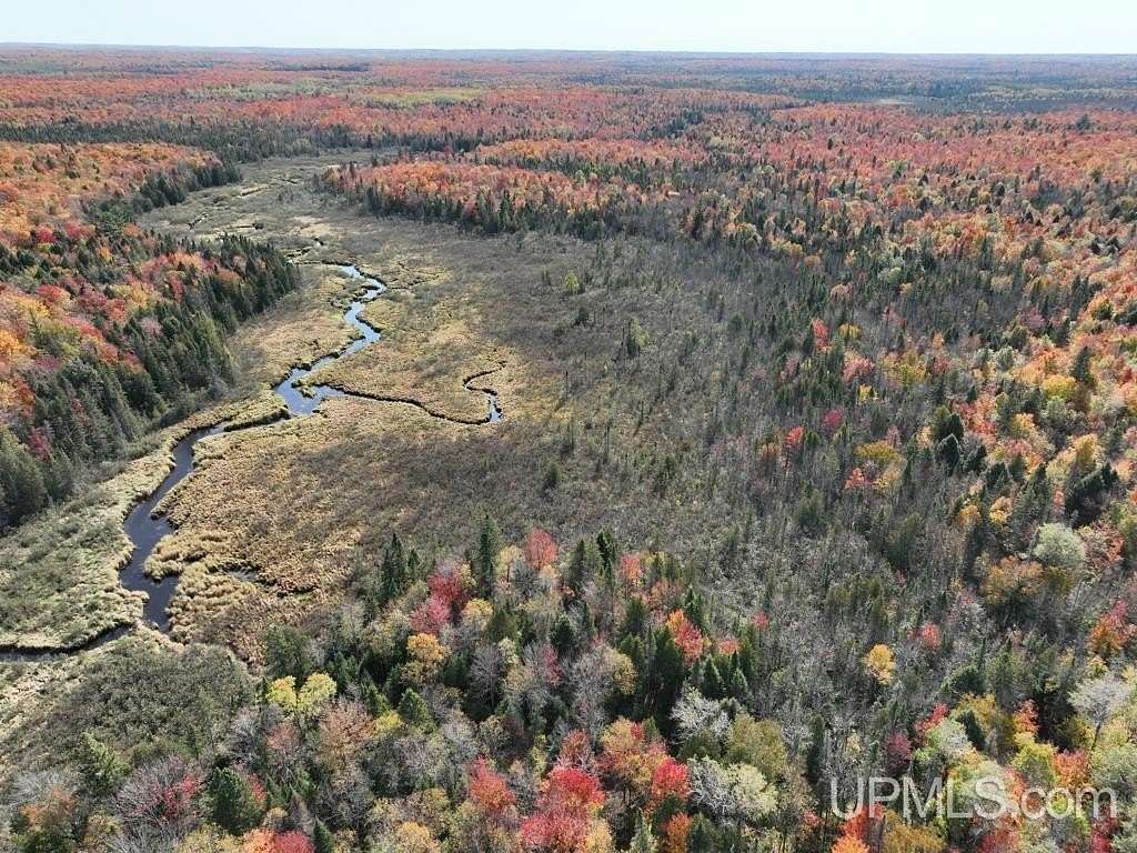 399 Acres of Recreational Land for Sale in Watersmeet, Michigan