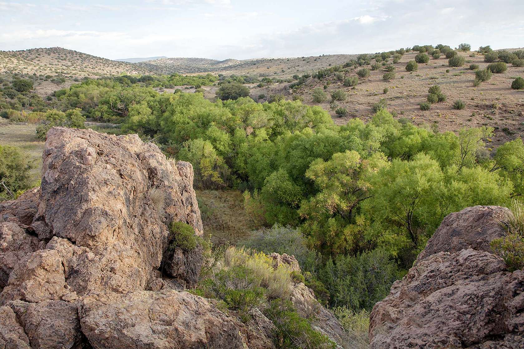 5,160 Acres of Land for Sale in Silver City, New Mexico