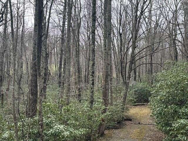 1.7 Acres of Land for Sale in Fancy Gap, Virginia