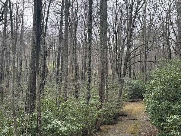 1.7 Acres of Land for Sale in Fancy Gap, Virginia