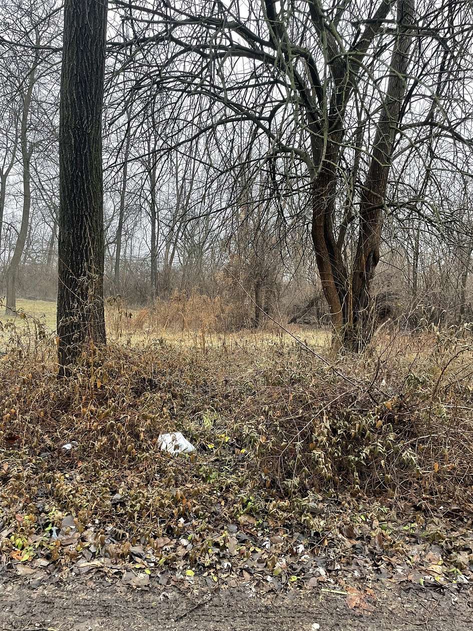 0.25 Acres of Residential Land for Sale in Indianapolis, Indiana