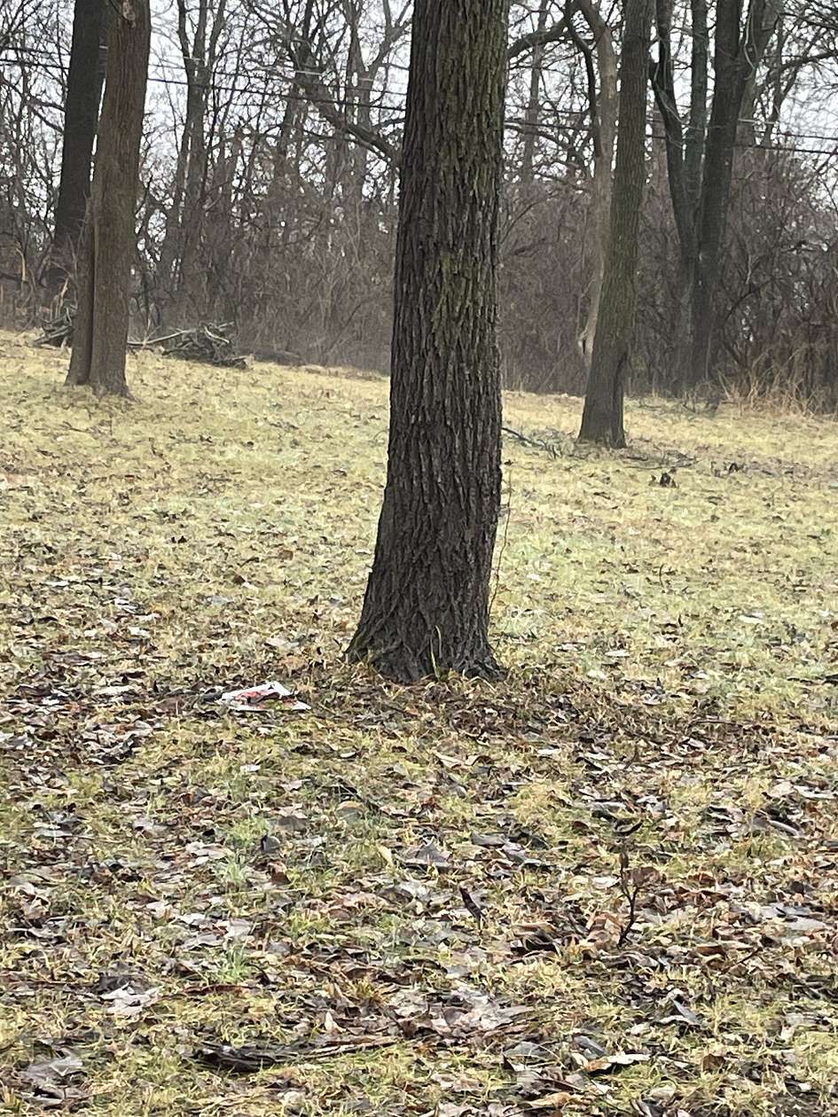 0.13 Acres of Residential Land for Sale in Indianapolis, Indiana