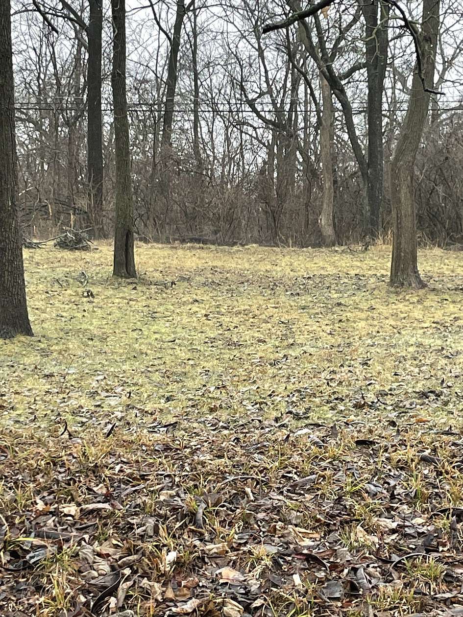 0.13 Acres of Residential Land for Sale in Indianapolis, Indiana