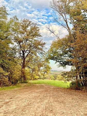 40 Acres of Land for Sale in Malvern, Iowa