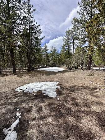 4.7 Acres of Residential Land for Sale in Bonanza, Oregon