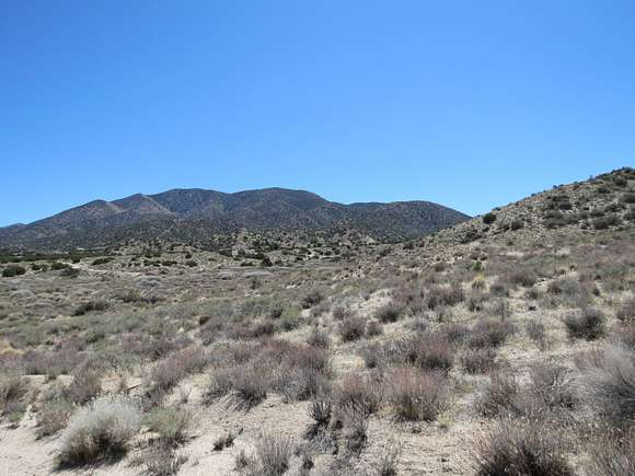 Land for Sale in Juniper Hills, California