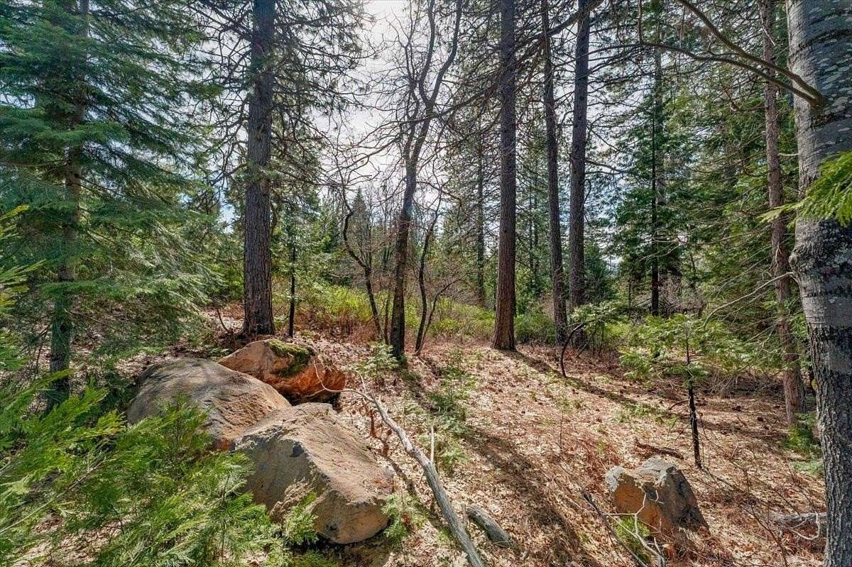 2.74 Acres of Residential Land for Sale in Mount Shasta, California