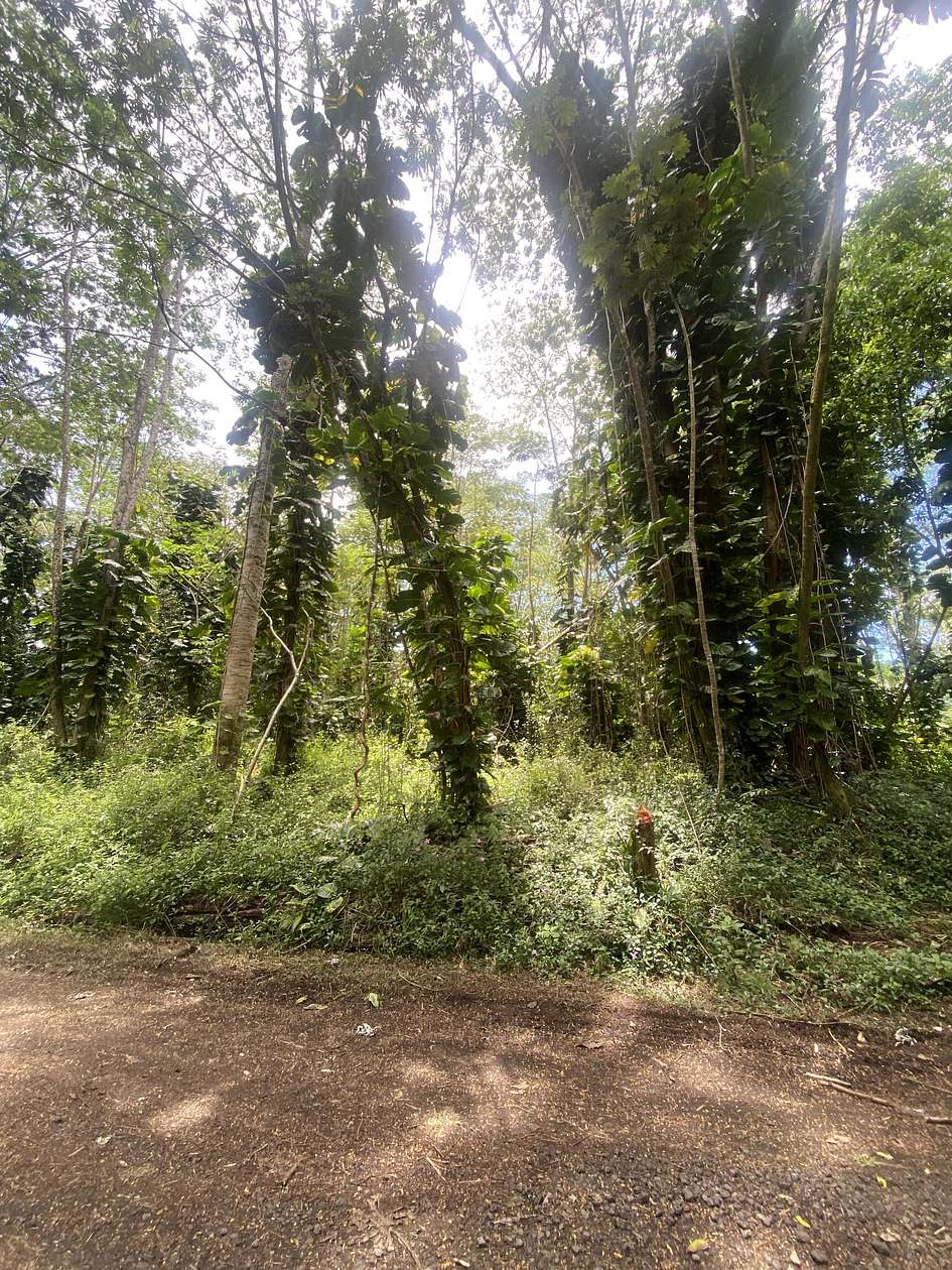 0.18 Acres of Land for Sale in Pahoa, Hawaii
