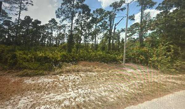0.23 Acres of Residential Land for Sale in Lehigh Acres, Florida