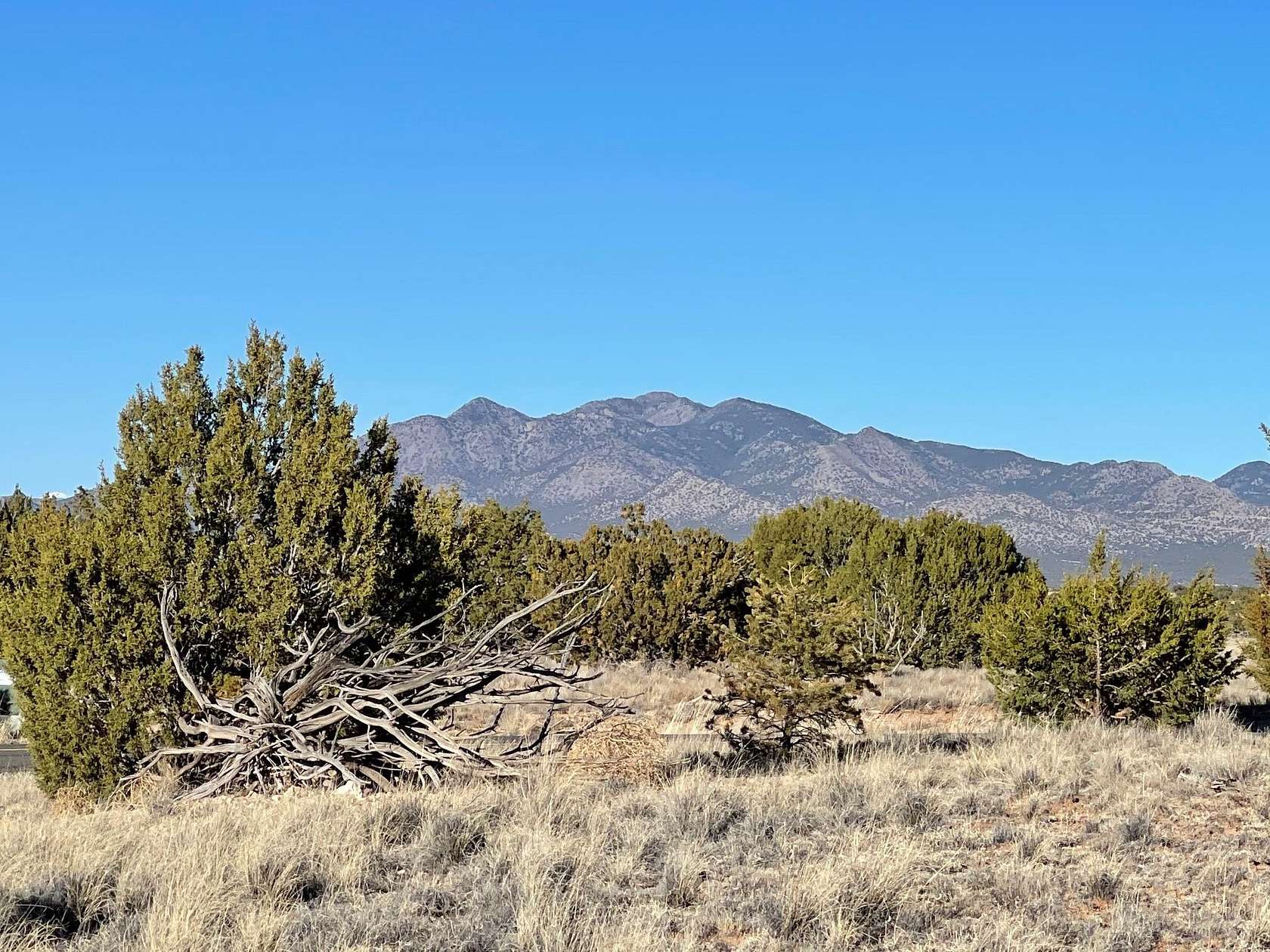 3.73 Acres of Residential Land for Sale in Sandia Park, New Mexico