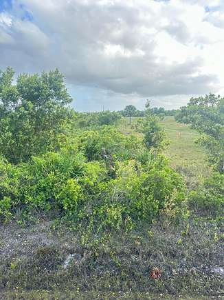 Residential Land for Sale in Okeechobee, Florida