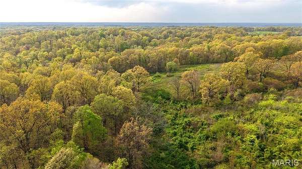 49 Acres of Land for Sale in Advance, Missouri