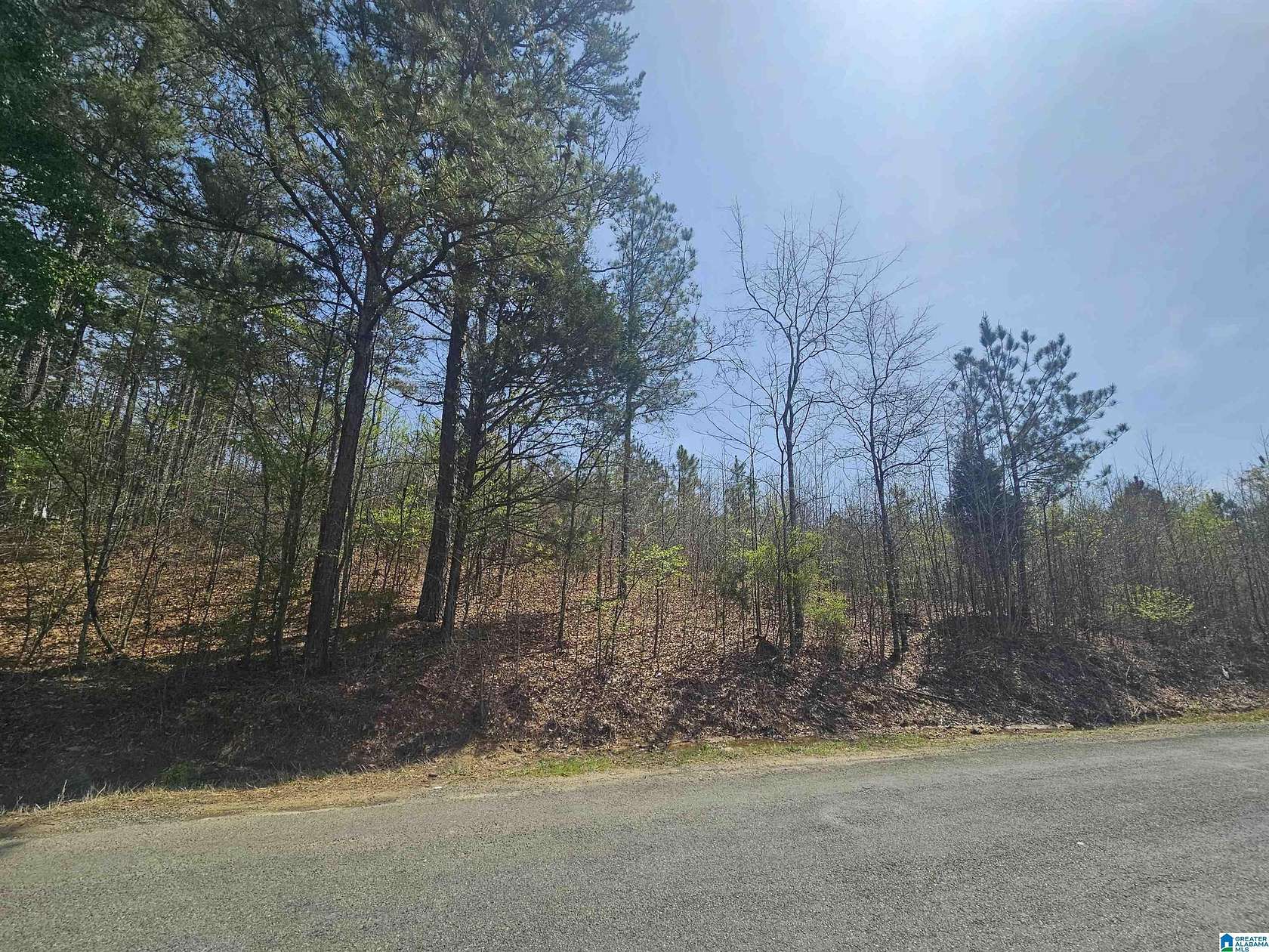 30 Acres of Land for Sale in Leeds, Alabama