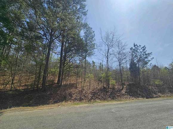 30 Acres of Land for Sale in Leeds, Alabama