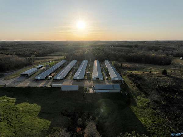 83 Acres of Agricultural Land with Home for Sale in Russellville, Alabama