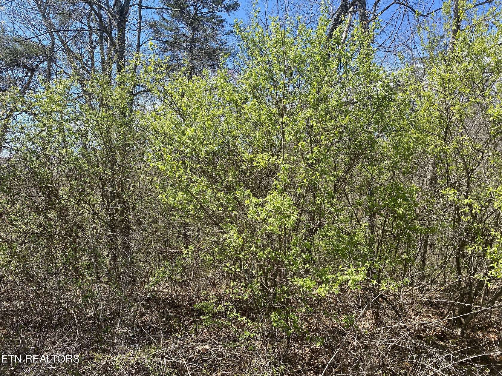 0.6 Acres of Land for Sale in Crossville, Tennessee