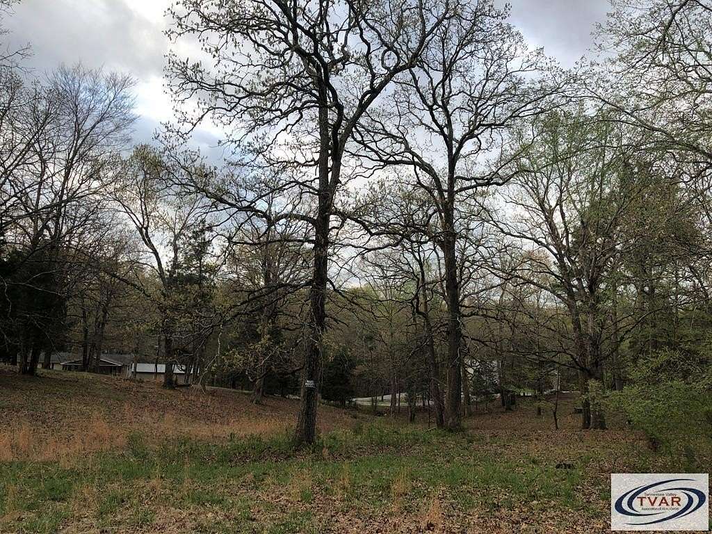 0.51 Acres of Residential Land for Sale in Springville, Tennessee