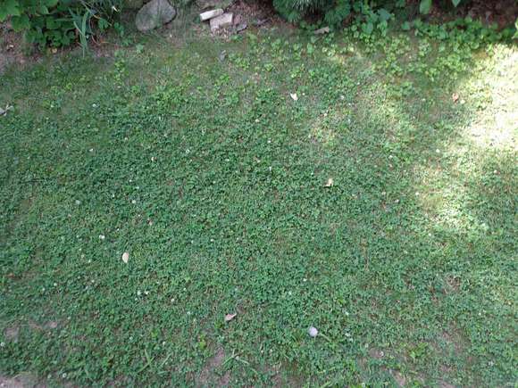 0.38 Acres of Mixed-Use Land for Sale in Fort Wayne, Indiana