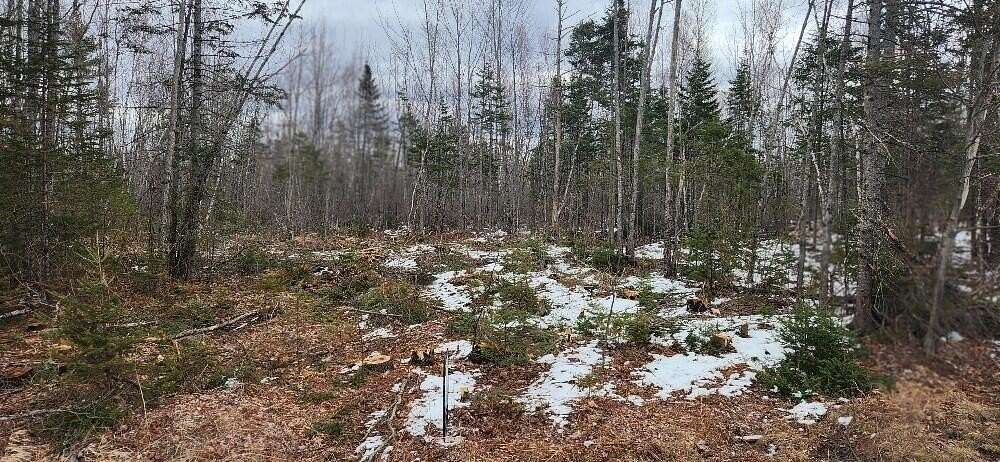 40.5 Acres of Recreational Land for Sale in Greenbush, Maine