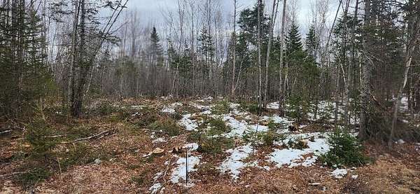 40.5 Acres of Recreational Land for Sale in Greenbush, Maine