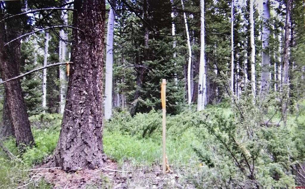 1 Acre of Residential Land for Sale in Cimarron, Colorado