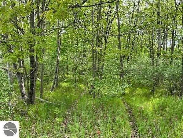 0.3 Acres of Residential Land for Sale in Weidman, Michigan
