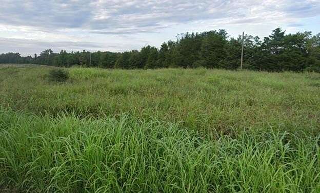 4.48 Acres of Land for Sale in Green Bay, Virginia