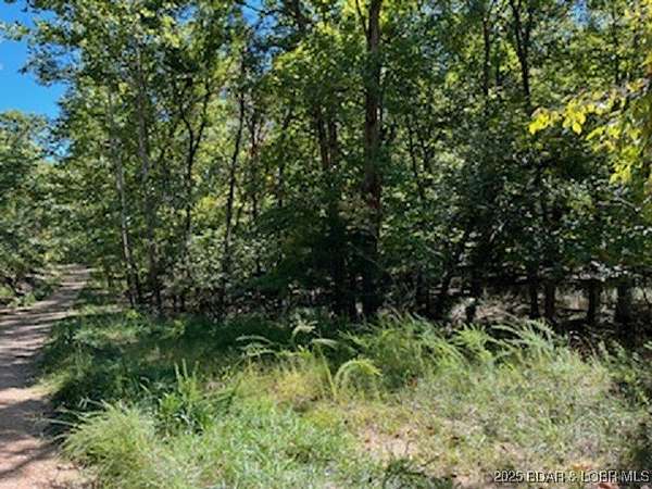0.27 Acres of Residential Land for Sale in Village of Four Seasons, Missouri