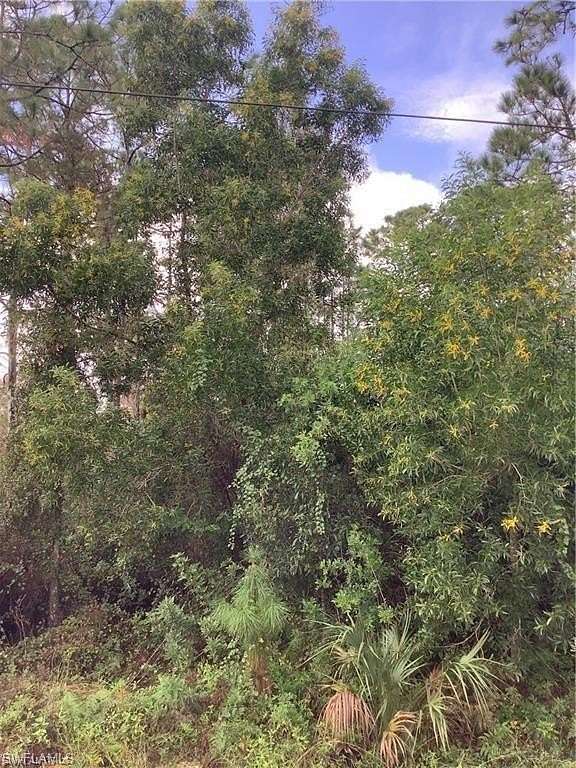 2.73 Acres of Land for Sale in Naples, Florida