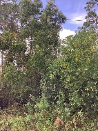 2.73 Acres of Land for Sale in Naples, Florida