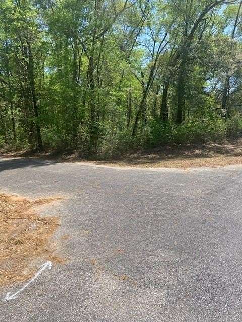 17.5 Acres of Land for Sale in Theodore, Alabama