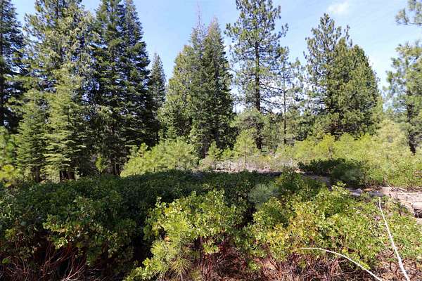 0.42 Acres of Residential Land for Sale in Lake Almanor Peninsula, California