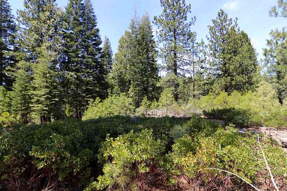 0.42 Acres of Residential Land for Sale in Lake Almanor Peninsula, California