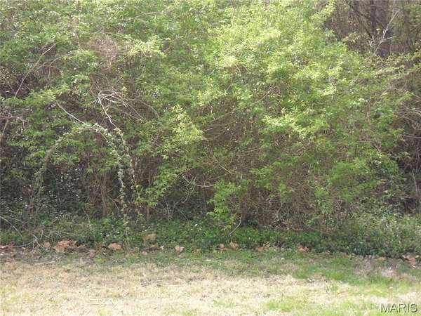 0.38 Acres of Mixed-Use Land for Sale in Belleville, Illinois