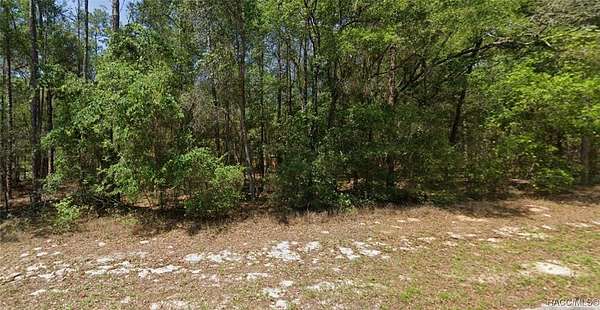 0.23 Acres of Residential Land for Sale in Dunnellon, Florida