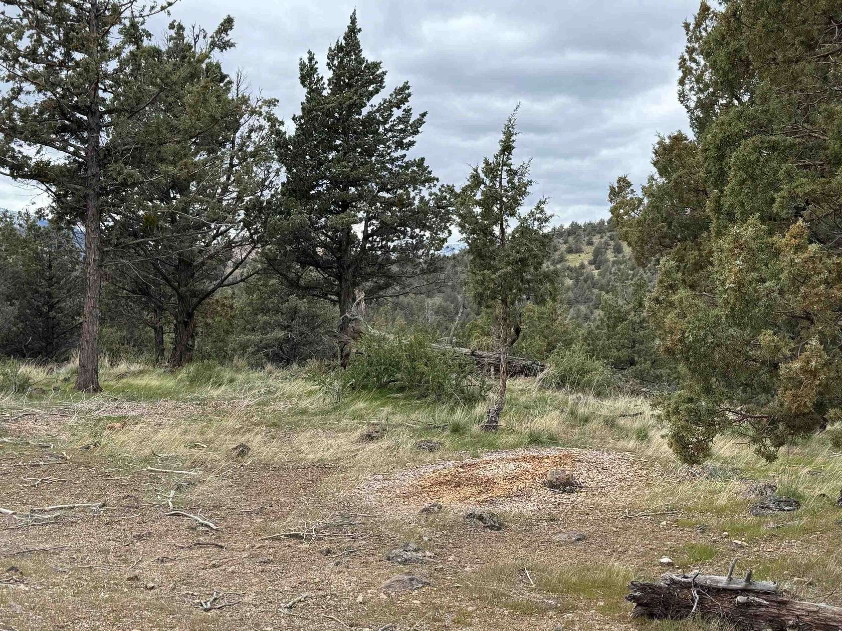 0.26 Acres of Residential Land for Sale in Weed, California