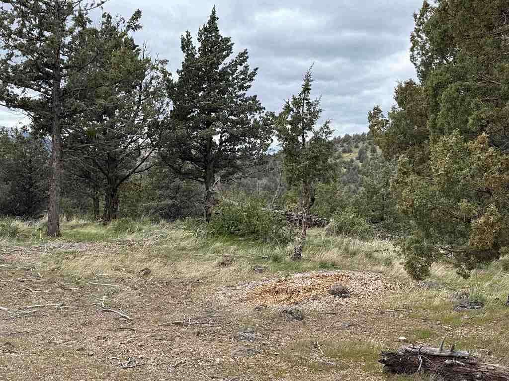 0.26 Acres of Land for Sale in Weed, California