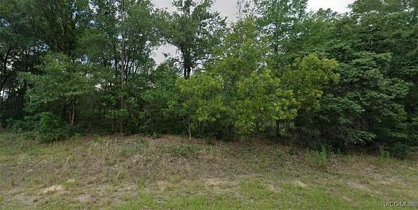 0.24 Acres of Residential Land for Sale in Citrus Springs, Florida