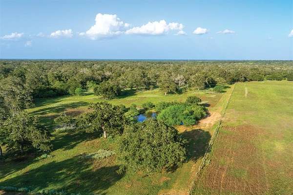 92 Acres of Improved Land for Sale in Nixon, Texas