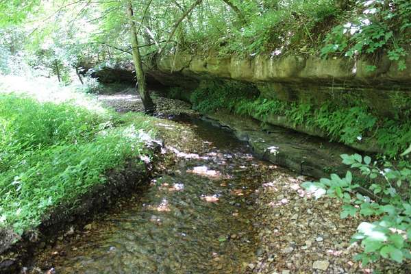 2.74 Acres of Land with Home for Sale in Harrison, Arkansas