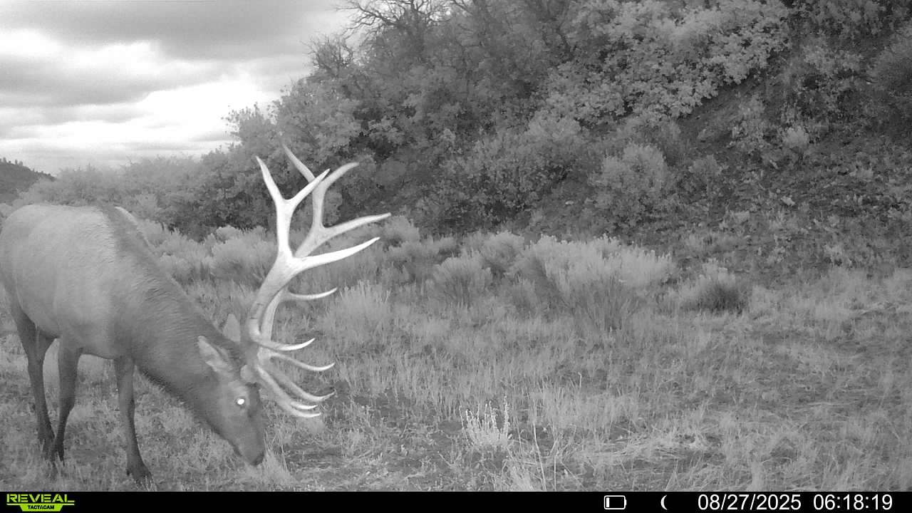 160 Acres of Recreational Land for Sale in Dulce, New Mexico