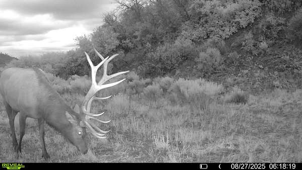 160 Acres of Recreational Land for Sale in Dulce, New Mexico