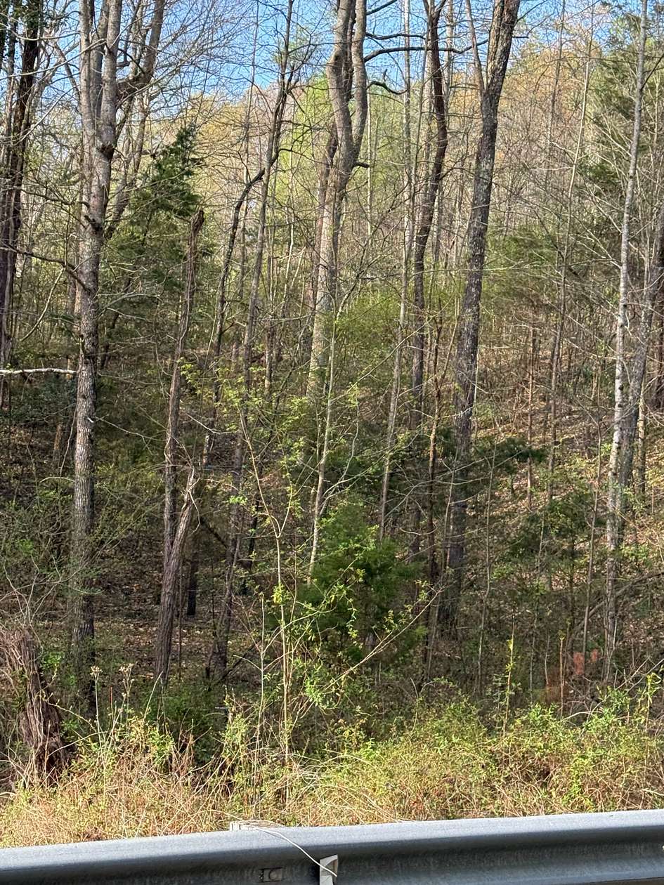 1.63 Acres of Residential Land for Sale in Hague, Virginia