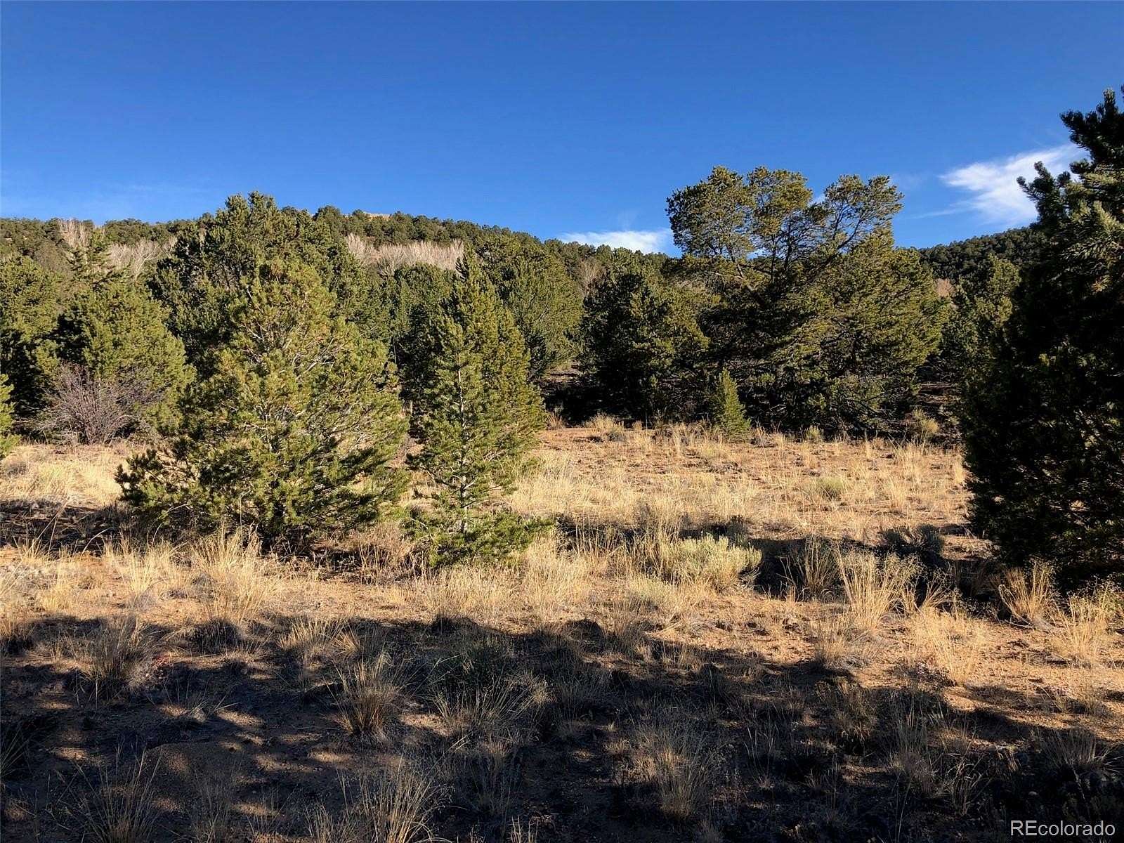 6.83 Acres of Residential Land for Sale in Salida, Colorado
