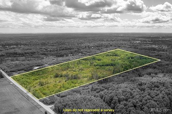 20 Acres of Recreational Land for Sale in Escanaba, Michigan