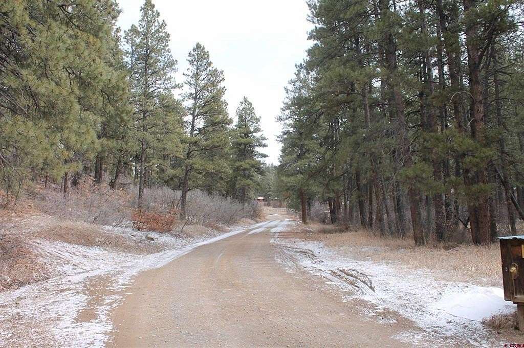 19.8 Acres of Land for Sale in Bayfield, Colorado